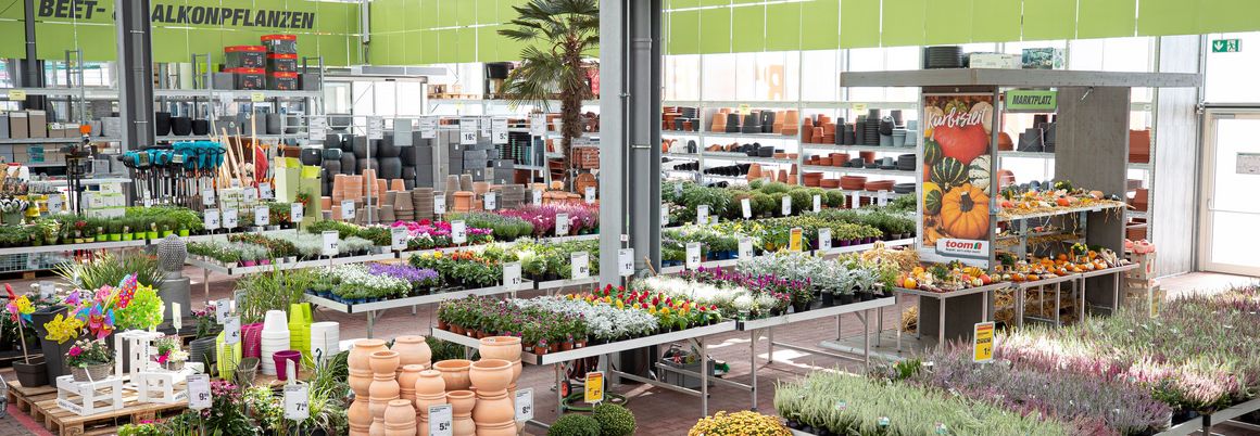 Gartencenter mit vielen verschiedenen Pflanzen